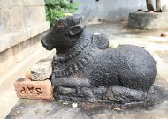 Nandhi